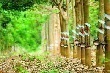 Giá cao su kỳ hạn tại Tokyo ngày 26/6 đạt mức cao nhất gần 1 tuần